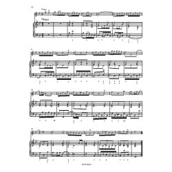 Sonata for Treble (Alto) Recorder and BC : from Der getreue Music-Meister, TWV 41:B3 B flat Major